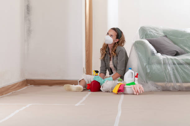 Reliable Mold Remediation contractor in Fayetteville, TN by WQB Mold Removal